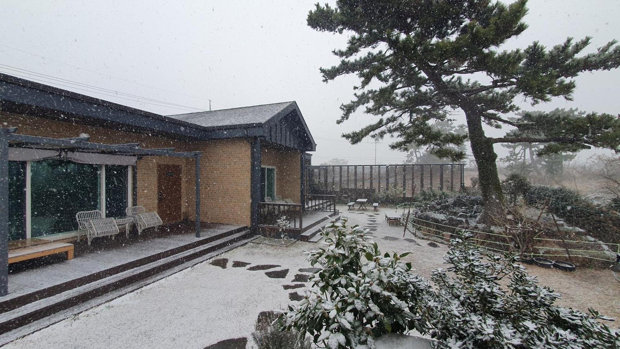 Wind Jeju Cafe & Pension Сеогвипо Екстериор снимка