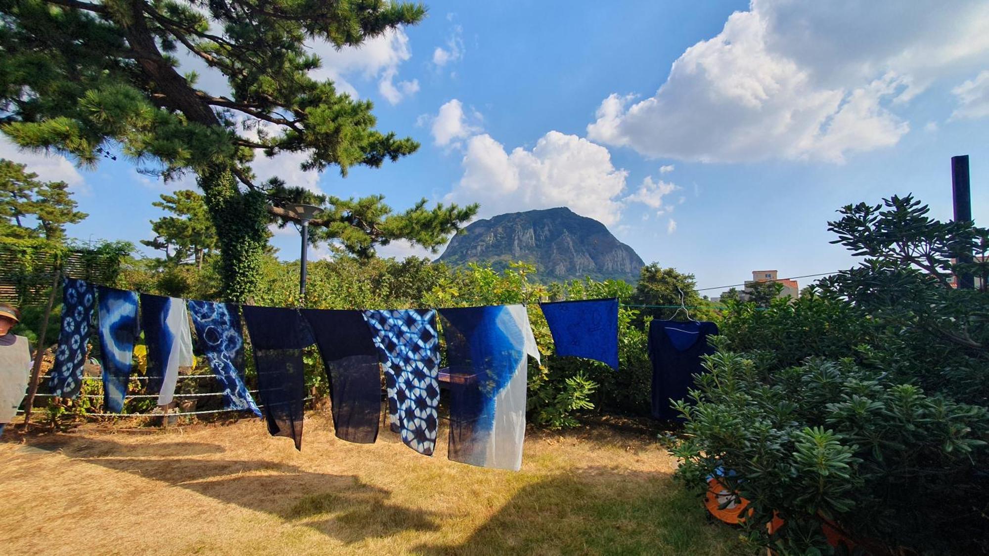 Wind Jeju Cafe & Pension Сеогвипо Екстериор снимка