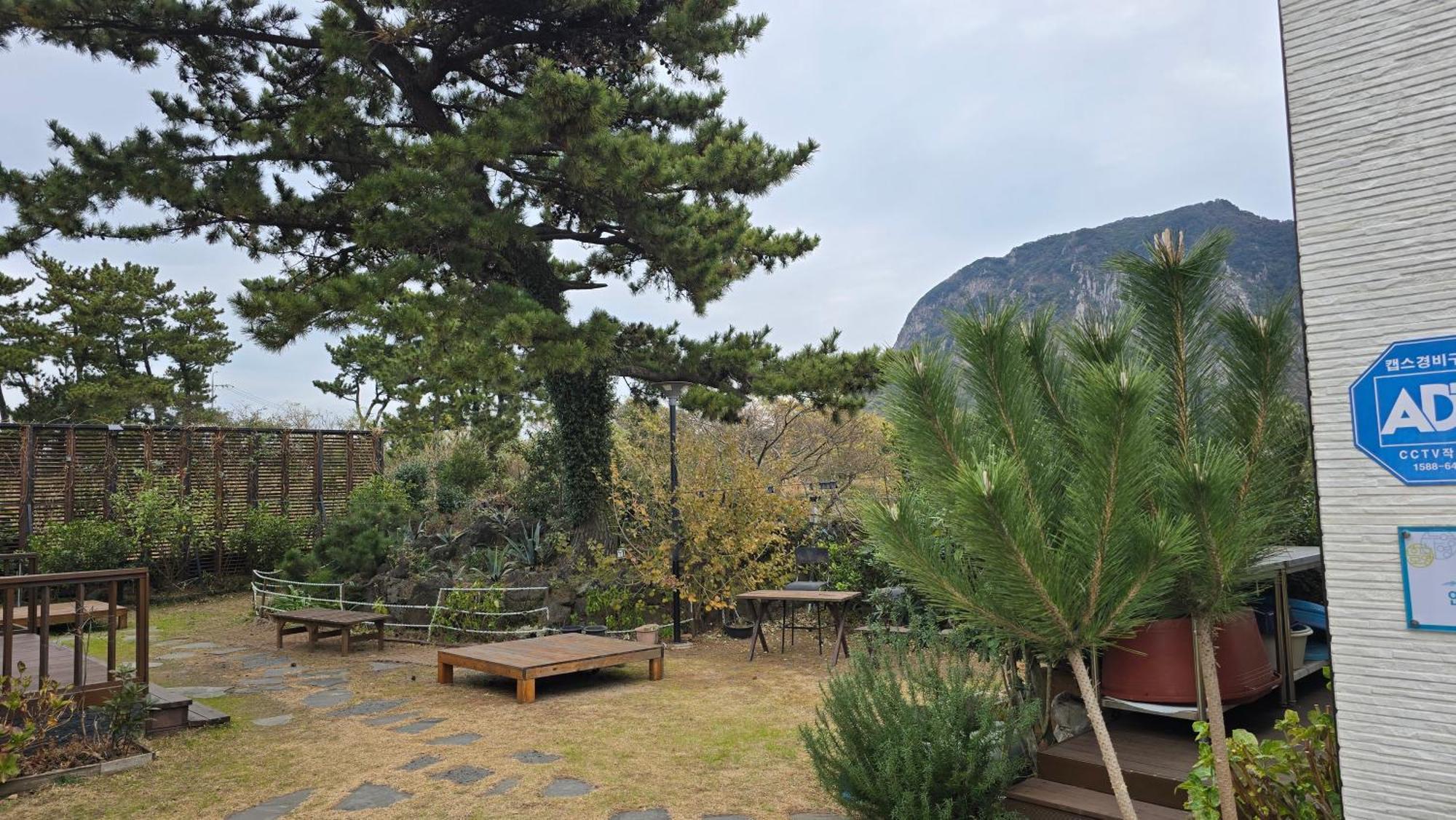 Wind Jeju Cafe & Pension Сеогвипо Екстериор снимка