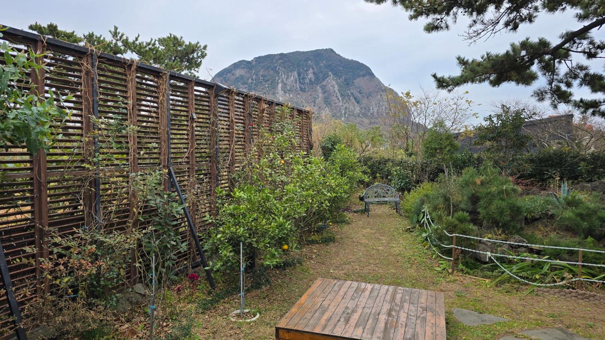 Wind Jeju Cafe & Pension Сеогвипо Екстериор снимка