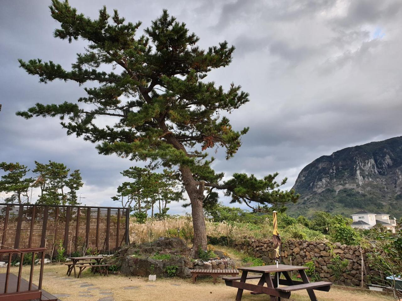 Wind Jeju Cafe & Pension Сеогвипо Екстериор снимка
