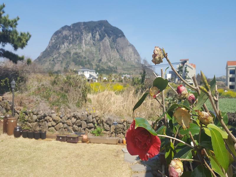 Wind Jeju Cafe & Pension Сеогвипо Екстериор снимка
